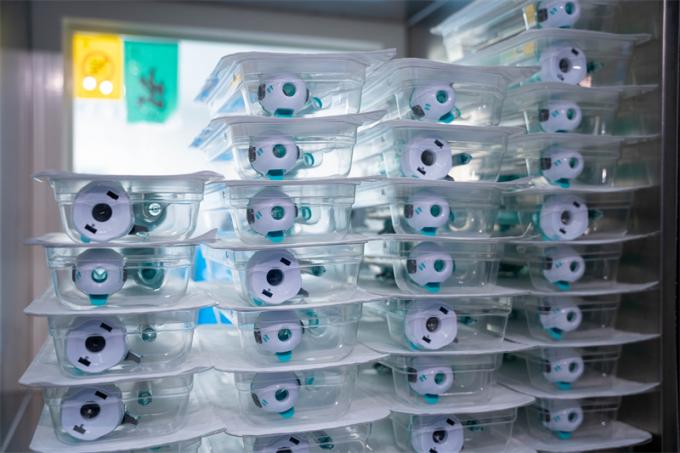 CE-gecertificeerde 12 mm Hasson-type wegwerptrocar voor laparoscopische chirurgie 5