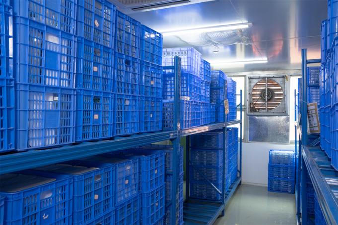 Aangepast Ce merkte 12mm Beschikbare Hasson Trocar voor Laparoscopic-Chirurgie 7